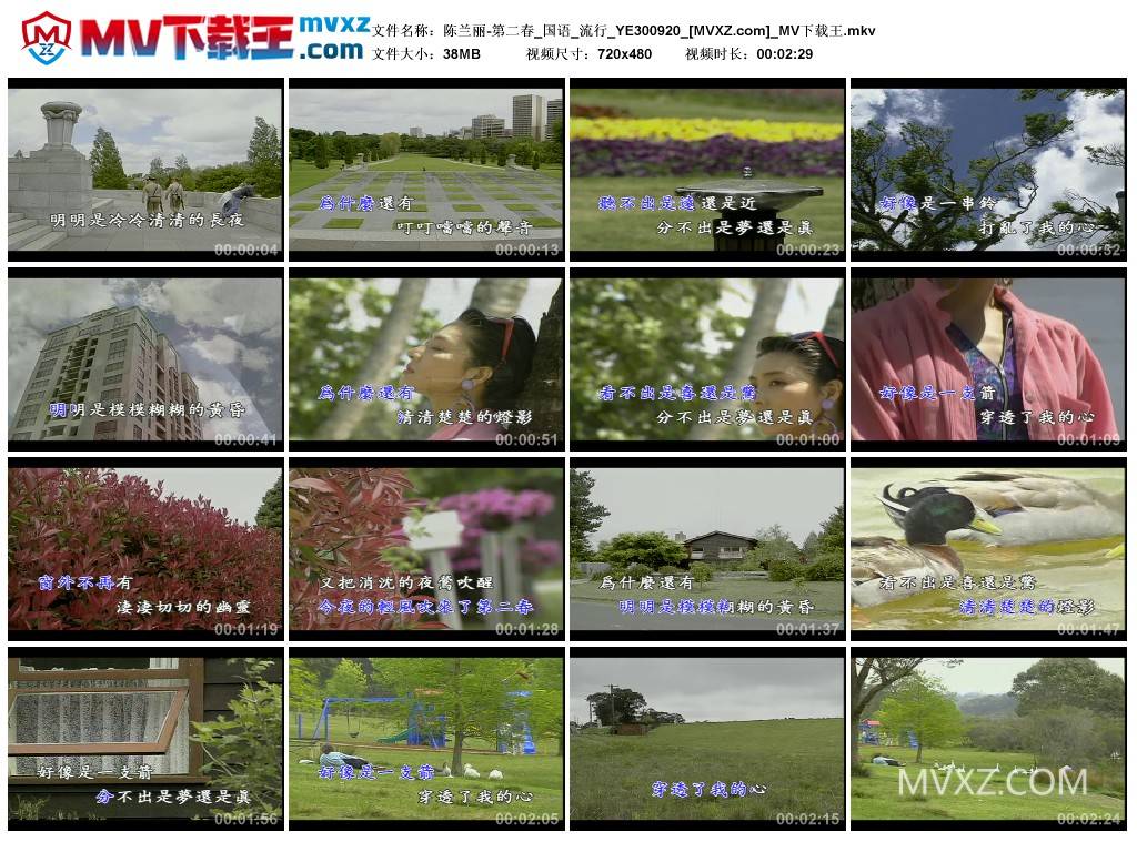 陈兰丽-第二春_国语_流行_YE300920